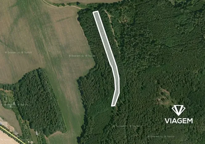 Prodej podílu lesa, Koloveč, 859 m2