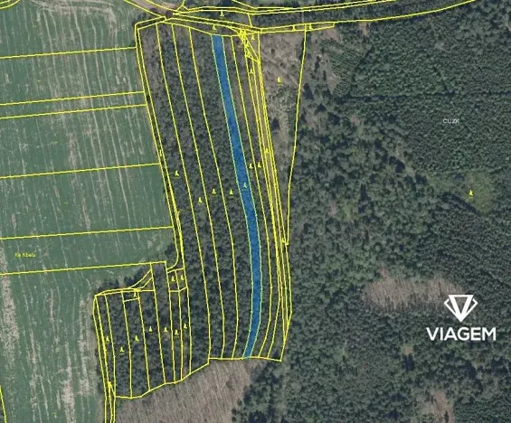 Prodej podílu lesa, Koloveč, 859 m2