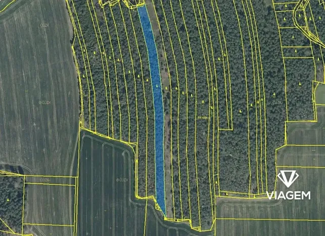 Prodej podílu lesa, Koloveč, 2021 m2