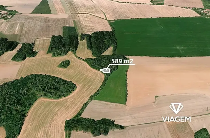 Prodej podílu lesa, Koloveč, 2021 m2