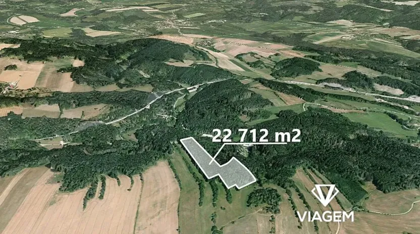 Prodej podílu lesa, Kuřimská Nová Ves, 10094 m2