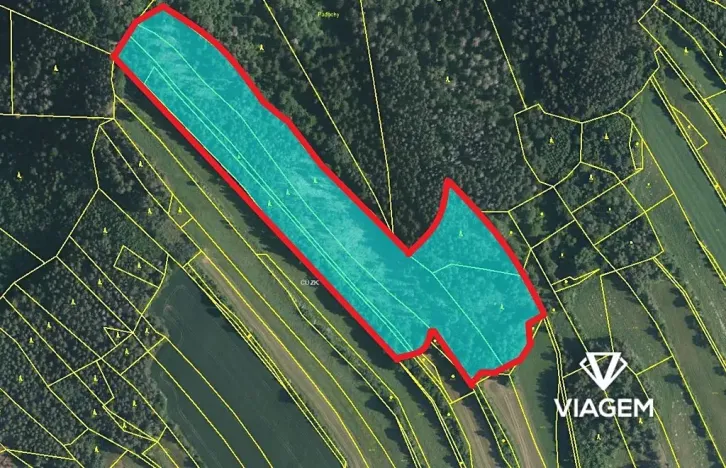 Prodej podílu lesa, Kuřimská Nová Ves, 10094 m2