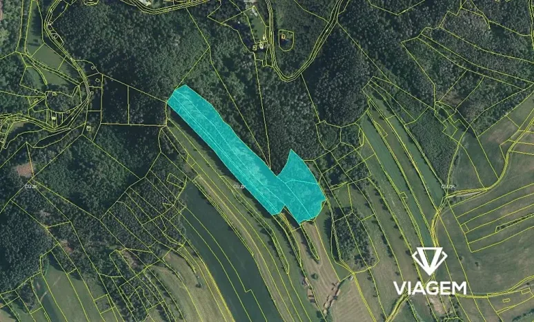 Prodej podílu lesa, Kuřimská Nová Ves, 10094 m2