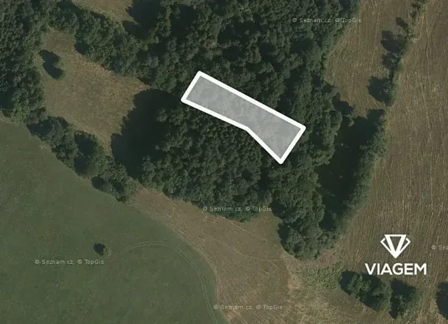Prodej podílu lesa, Horní Lideč, 662 m2