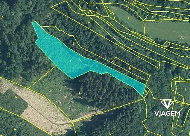 Prodej lesa, Leskovec, 7968 m2