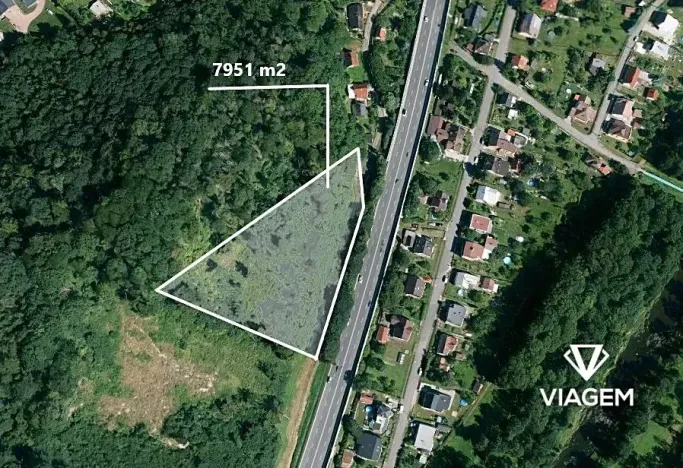 Prodej lesa, Metylovice, 7951 m2