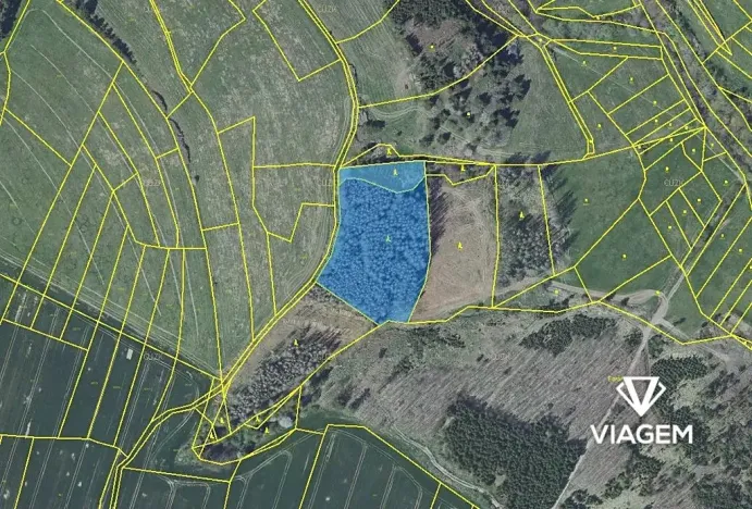 Prodej podílu lesa, Radošovice, 2390 m2