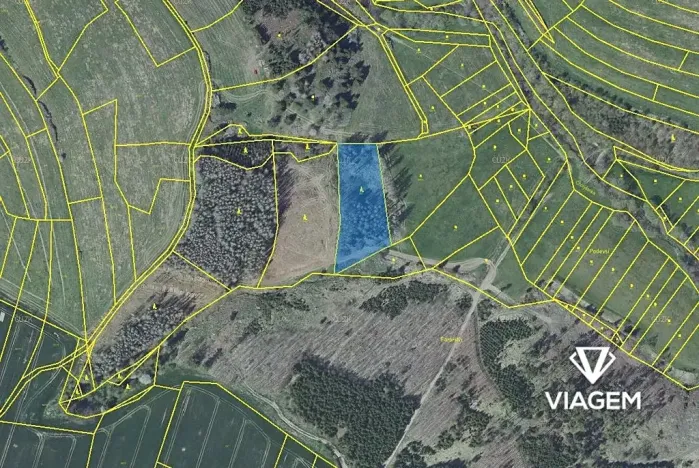 Prodej podílu lesa, Radošovice, 1094 m2