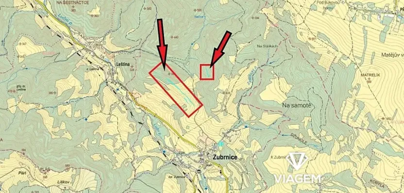 Prodej podílu lesa, Zubrnice, 2835 m2
