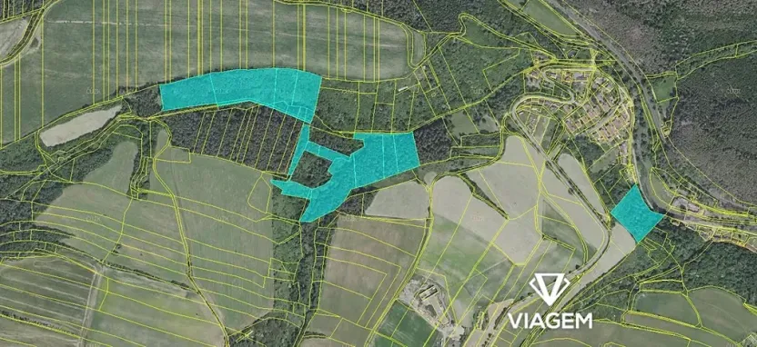 Prodej podílu lesa, Chlum, 8736 m2