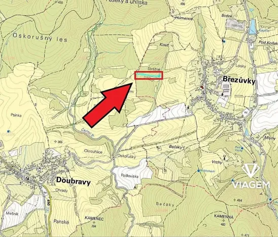 Prodej podílu lesa, Březůvky, 3839 m2