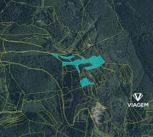 Prodej podílu lesa, Janová, 1920 m2