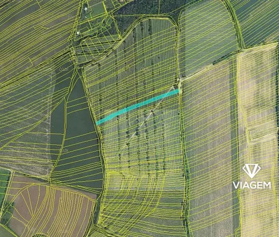 Prodej podílu pole, Boršice, 856 m2