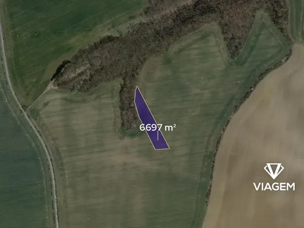 Prodej podílu pole, Kluky, 1116 m2