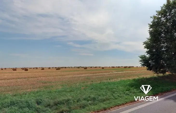 Prodej podílu pole, Praha - Cholupice, 2333 m2