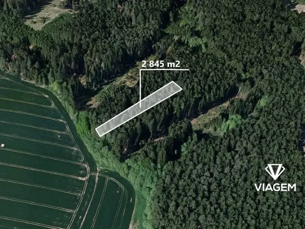 Prodej podílu lesa, Děkanovice, 948 m2