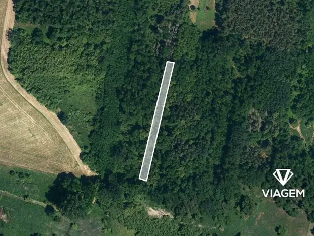 Prodej lesa, Hovorany, 1274 m2