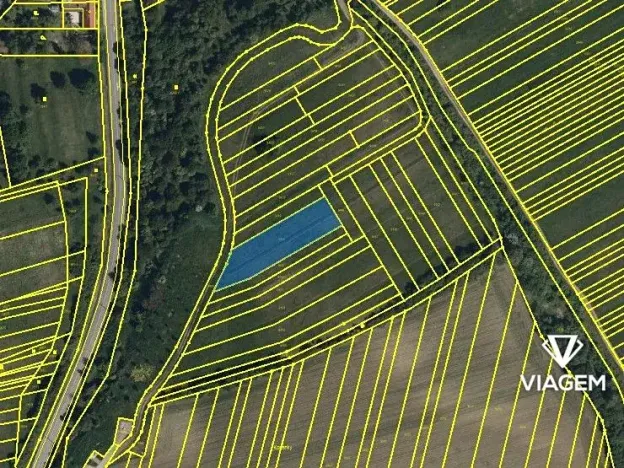 Prodej podílu pole, Javorník, 747 m2