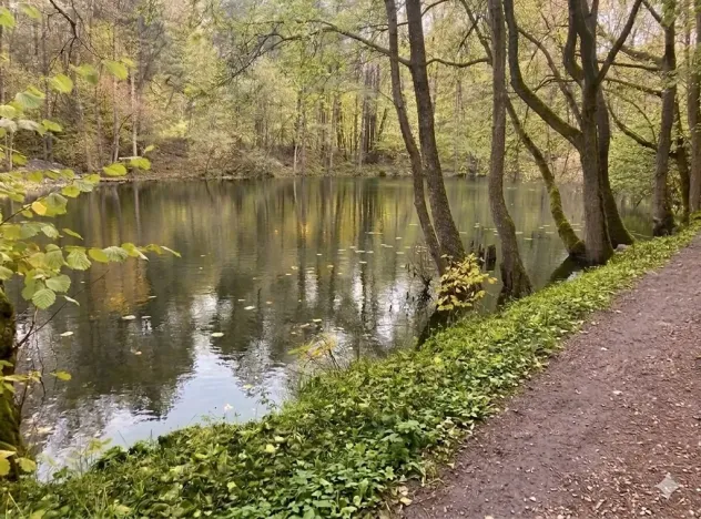 Pronájem rybníku, Votice, 2482 m2