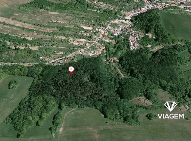 Prodej podílu lesa, Košíky, 8165 m2