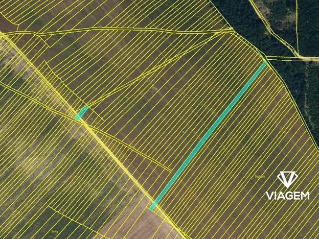 Prodej podílu pole, Kuchařovice, 2258 m2