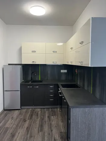 Pronájem bytu 1+kk, Liberec, Revoluční, 34 m2