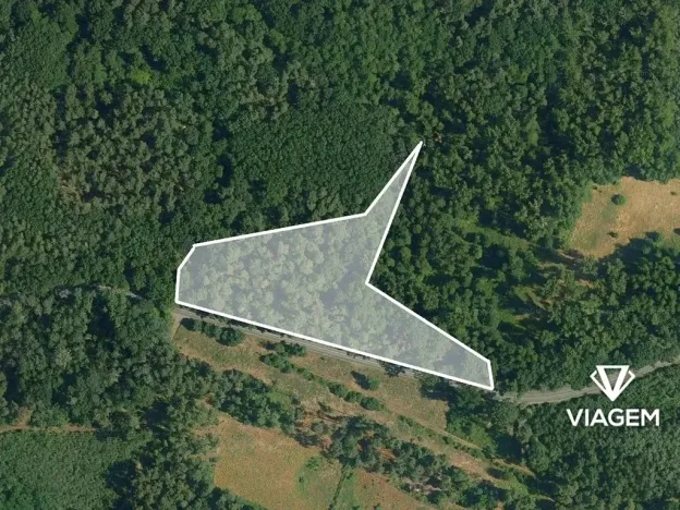 Prodej podílu lesa, Dašice, 3483 m2