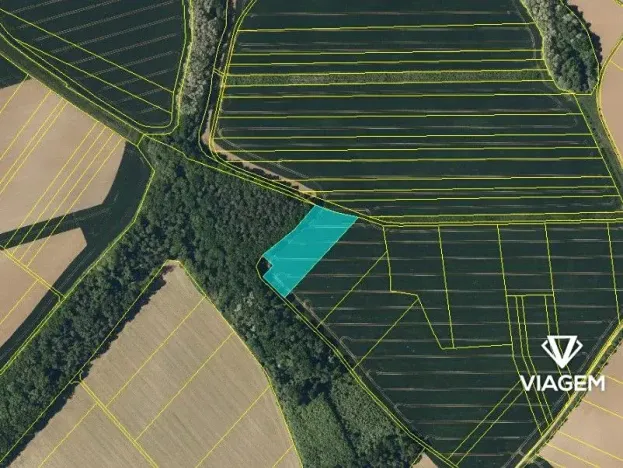 Prodej podílu pole, Dřínov, 5201 m2