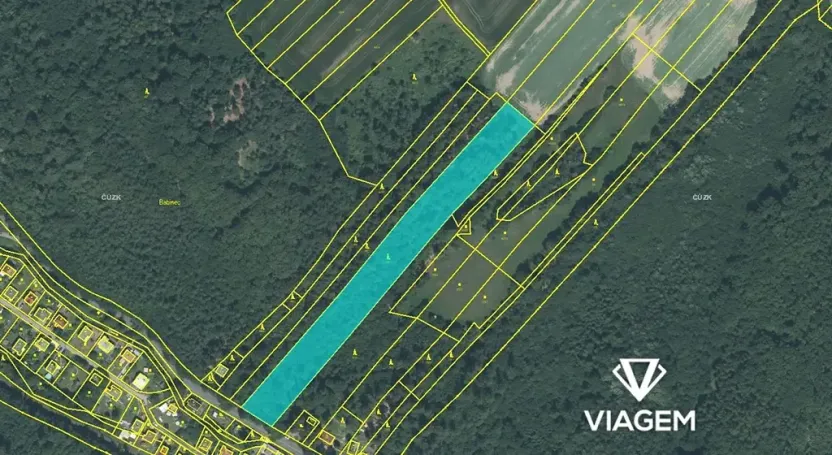 Prodej lesa, Horní Lhota, 11423 m2