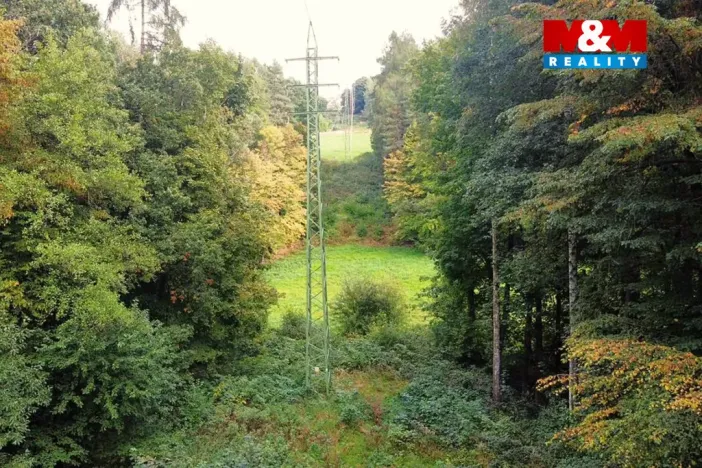 Prodej zahrady, Kostelec nad Černými lesy, Svatbínská, 10316 m2