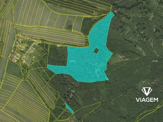 Prodej podílu lesa, Městečko Trnávka, 3311 m2