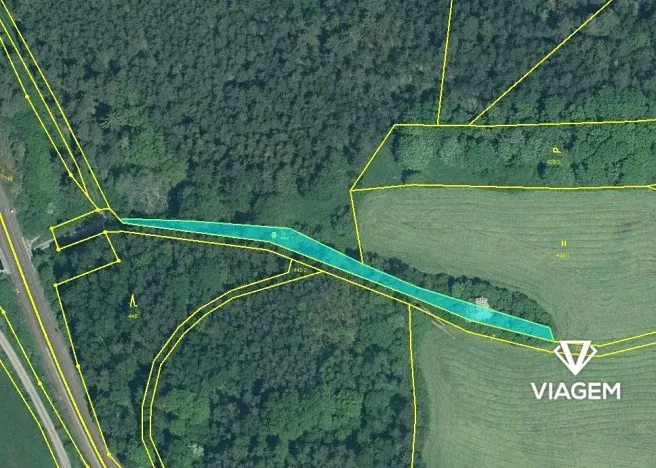 Prodej lesa, Svojšín, 3555 m2