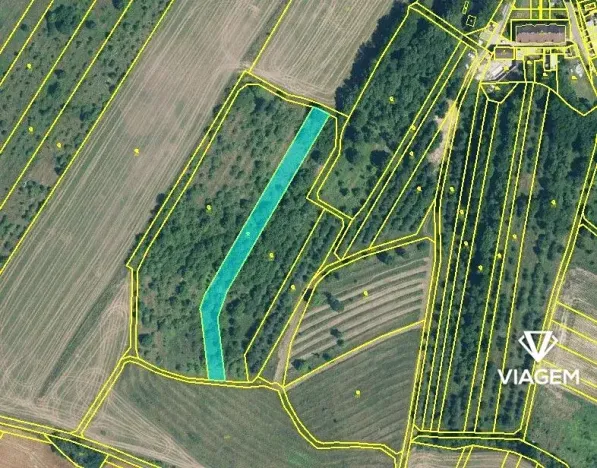 Prodej podílu zahrady, Kelčany, 232 m2