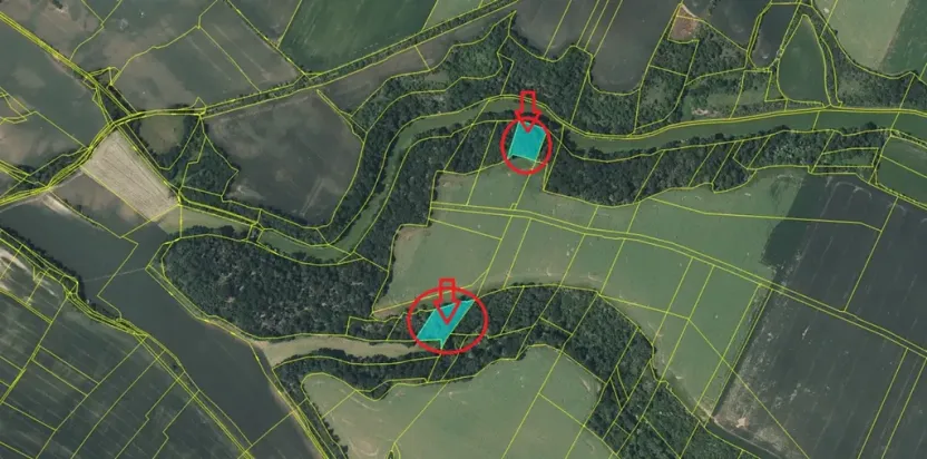 Prodej lesa, Vysoká, 5445 m2