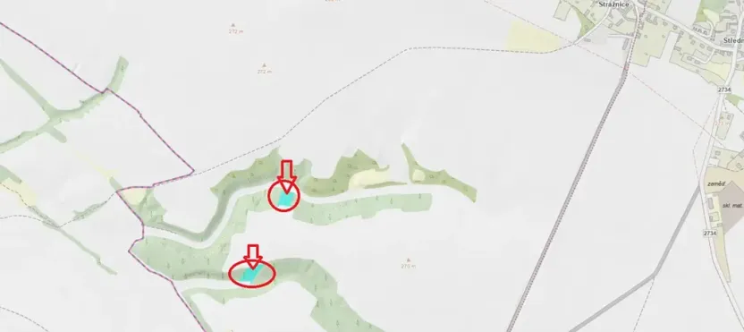 Prodej lesa, Vysoká, 5445 m2