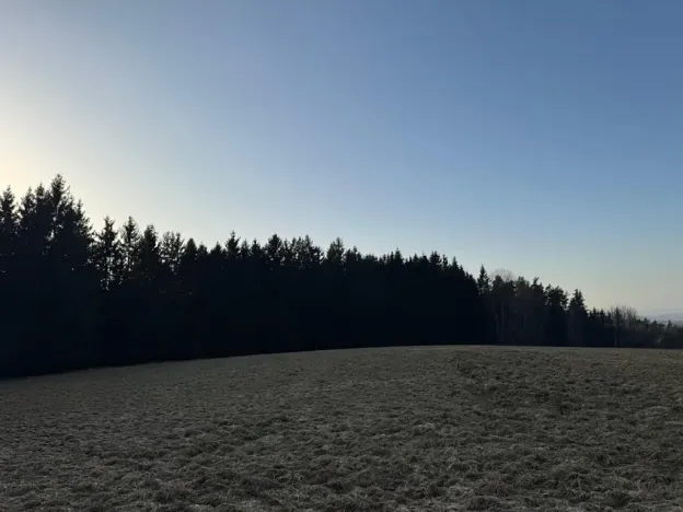 Prodej podílu lesa, Stará Paka, 4610 m2