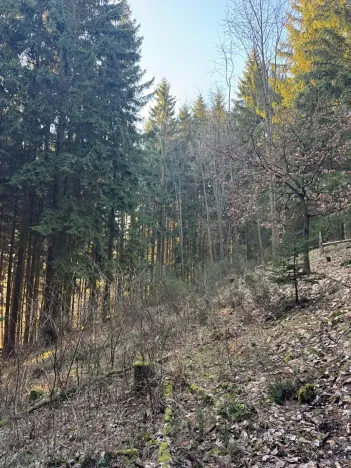 Prodej podílu lesa, Stará Paka, 4610 m2