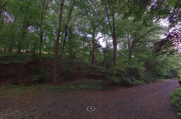 Prodej podílu pozemku, Šarovy, 5948 m2