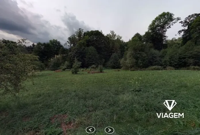 Prodej podílu lesa, Zlatá Olešnice, 963 m2