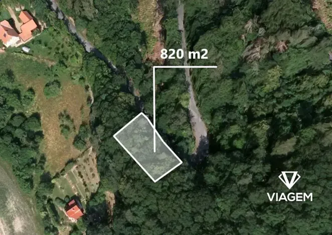 Prodej lesa, Milenov, 820 m2