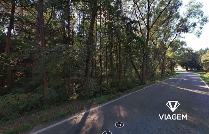 Prodej podílu lesa, Plasy, 478 m2