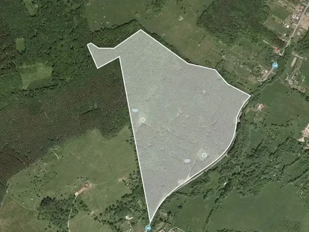 Prodej podílu lesa, Bánov, 76973 m2