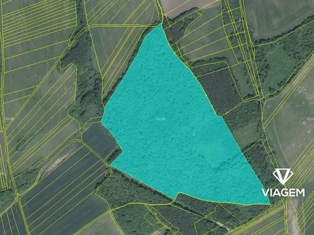 Prodej podílu lesa, Bánov, 76973 m2