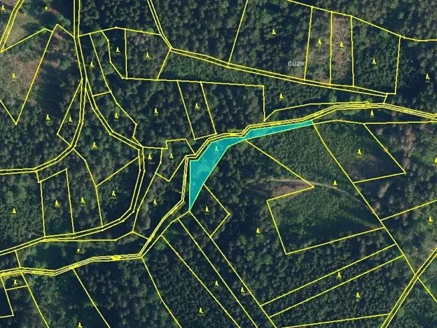 Prodej podílu lesa, Vysoké nad Jizerou, 742 m2