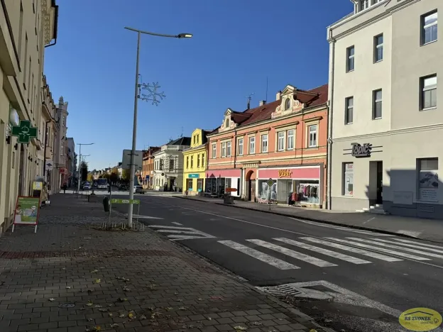 Prodej obchodního prostoru, Holešov, Palackého, 801 m2