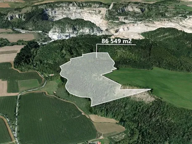 Prodej podílu lesa, Suchomasty, 10818 m2