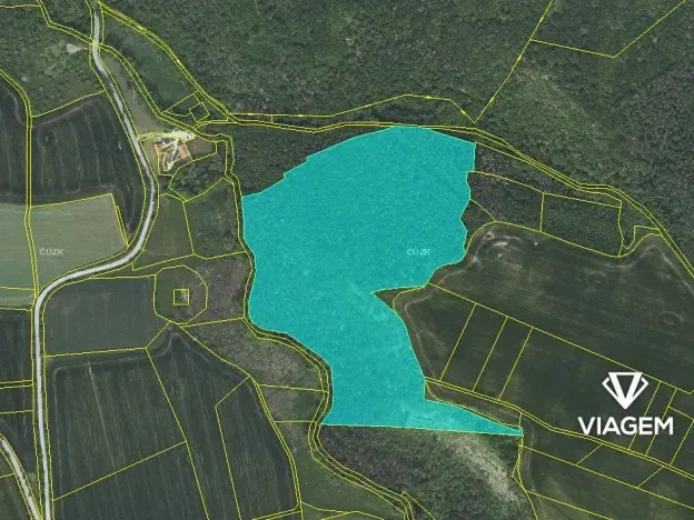 Prodej podílu lesa, Suchomasty, 10818 m2