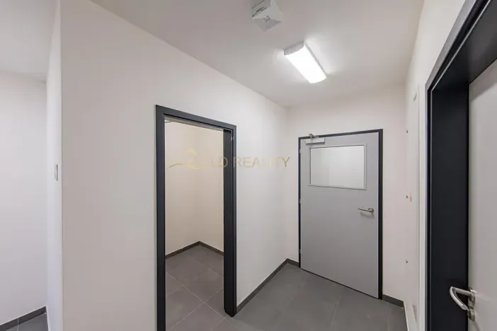 Pronájem bytu 2+kk, Olomouc, Aloise Rašína, 55 m2