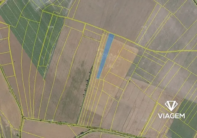 Prodej podílu pole, Sudovo Hlavno, 2950 m2