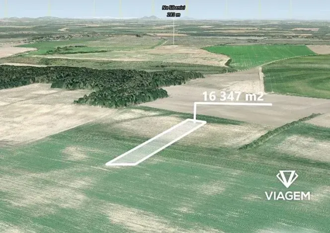 Prodej podílu pole, Sudovo Hlavno, 8173 m2